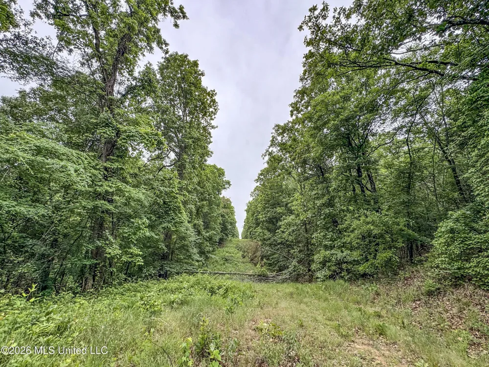 Wayne Massie Road Como, MS 38619