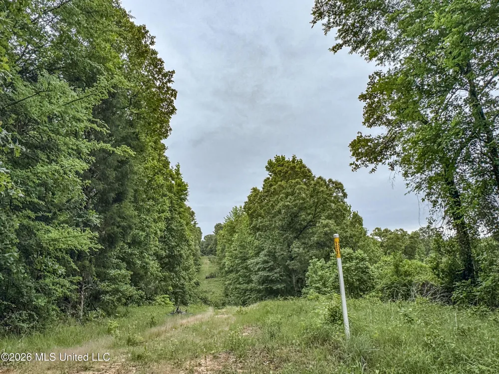 Wayne Massie Road Como, MS 38619