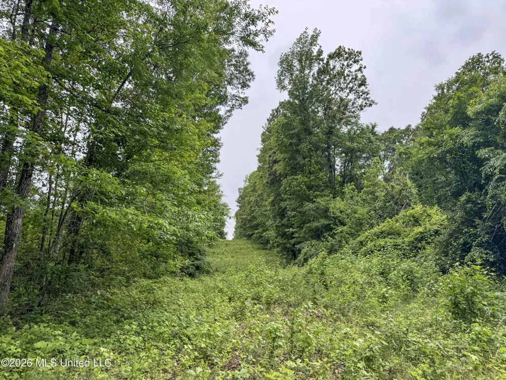 Wayne Massie Road Como, MS 38619