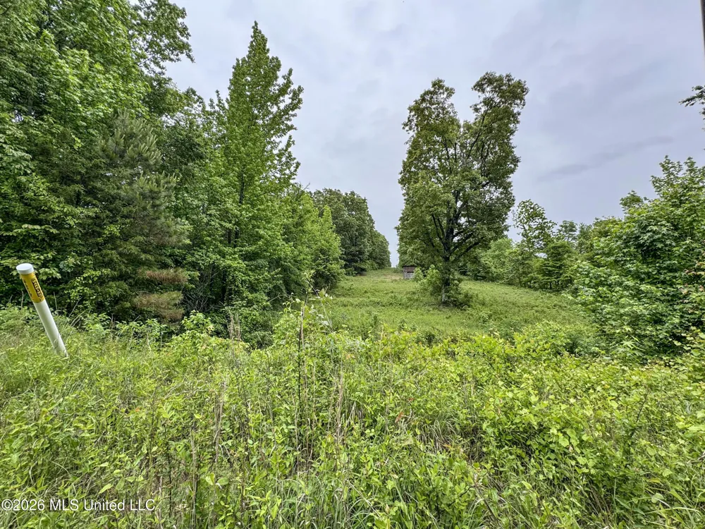Wayne Massie Road Como, MS 38619