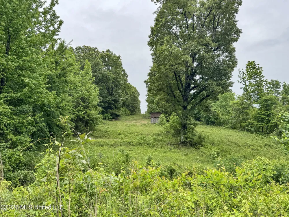 Wayne Massie Road Como, MS 38619
