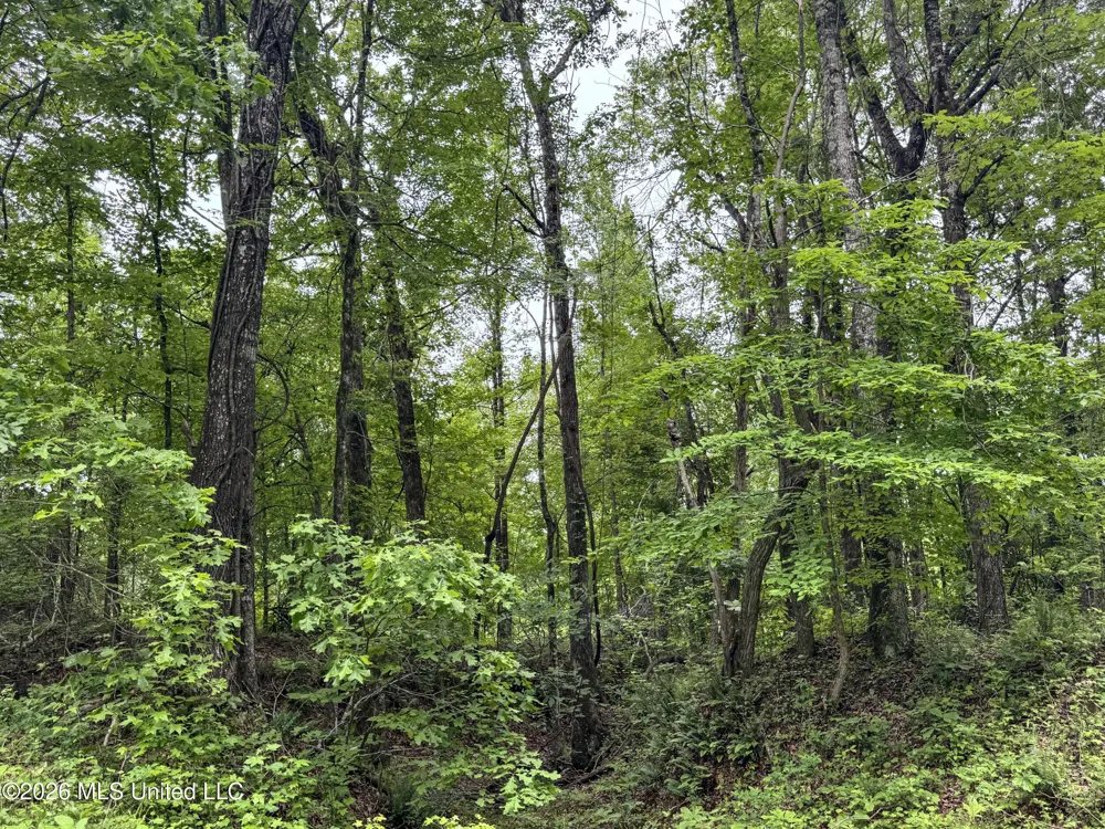 Wayne Massie Road Como, MS 38619