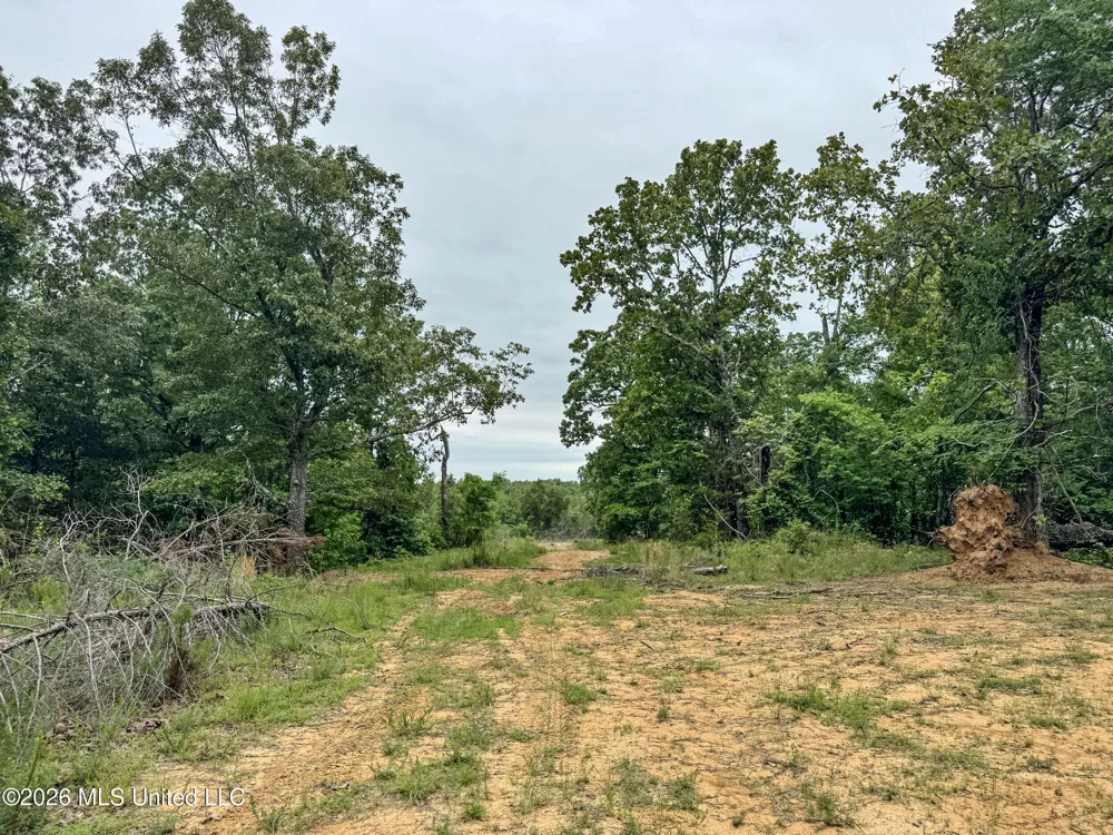 Wayne Massie Road Como, MS 38619