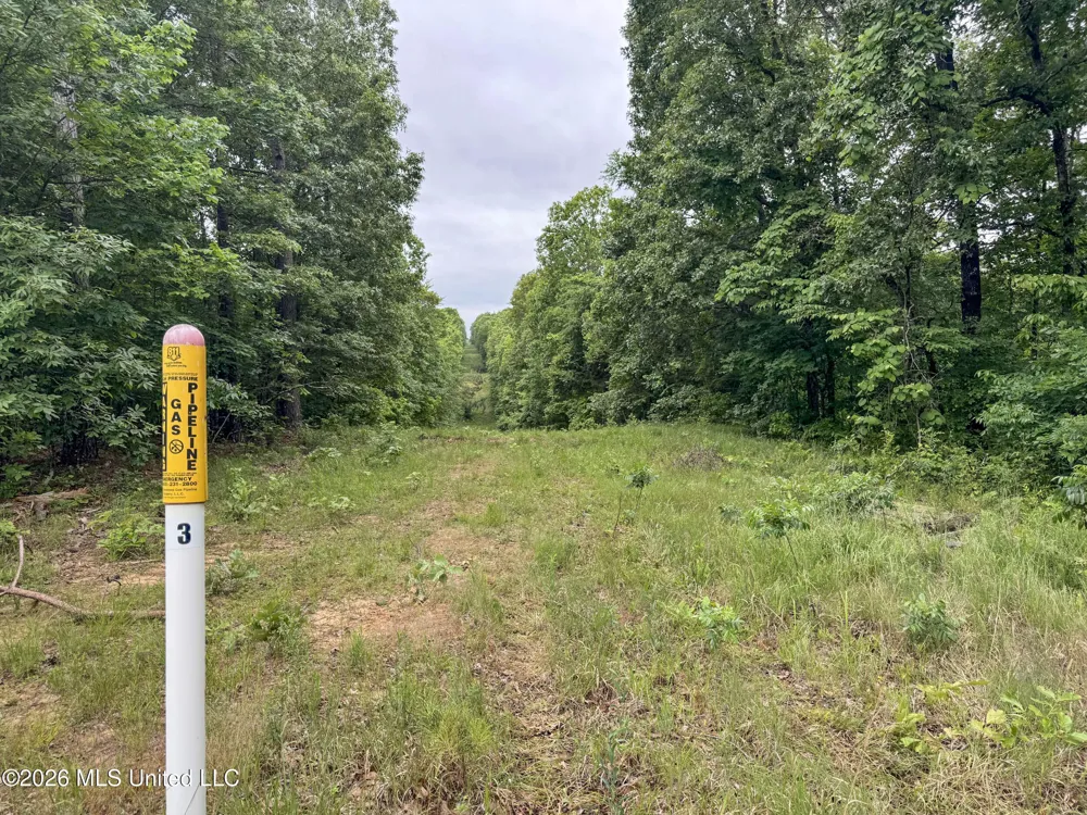 Wayne Massie Road Como, MS 38619