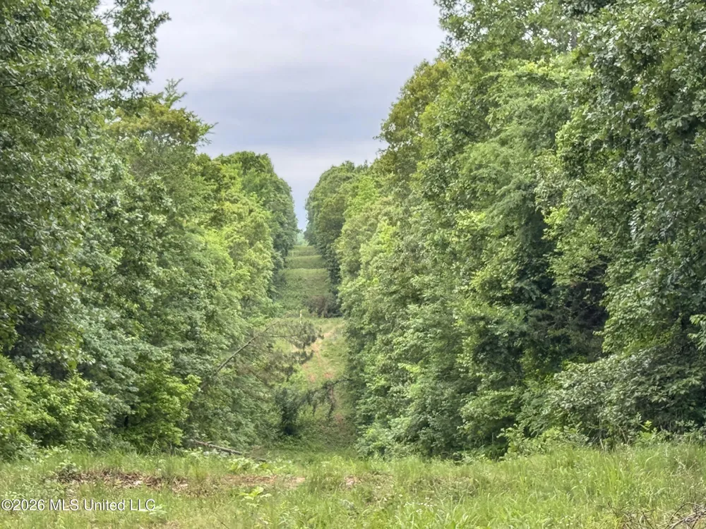 Wayne Massie Road Como, MS 38619