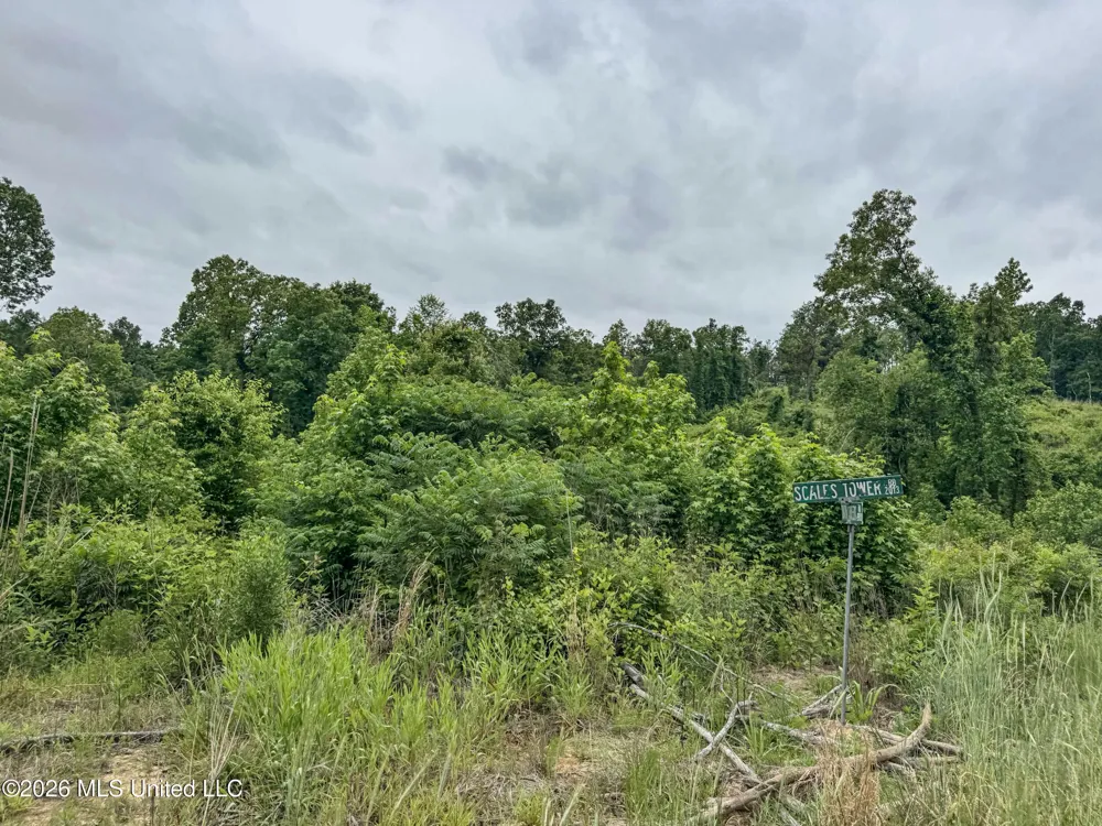 Wayne Massie Road Como, MS 38619
