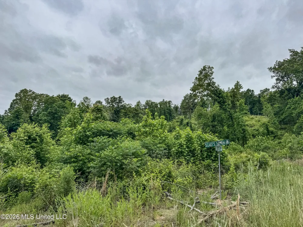 Wayne Massie Road Como, MS 38619