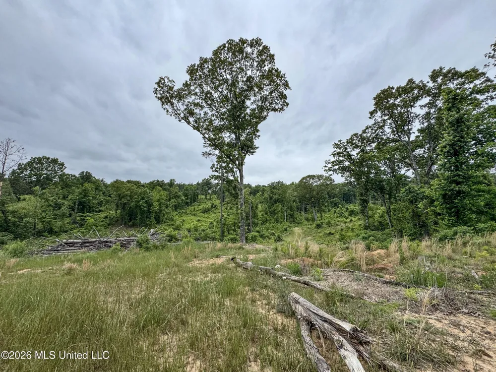Wayne Massie Road Como, MS 38619