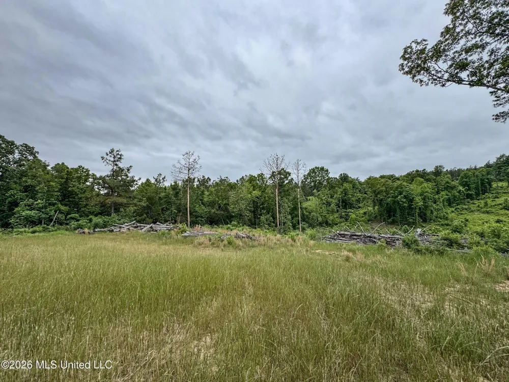 Wayne Massie Road Como, MS 38619