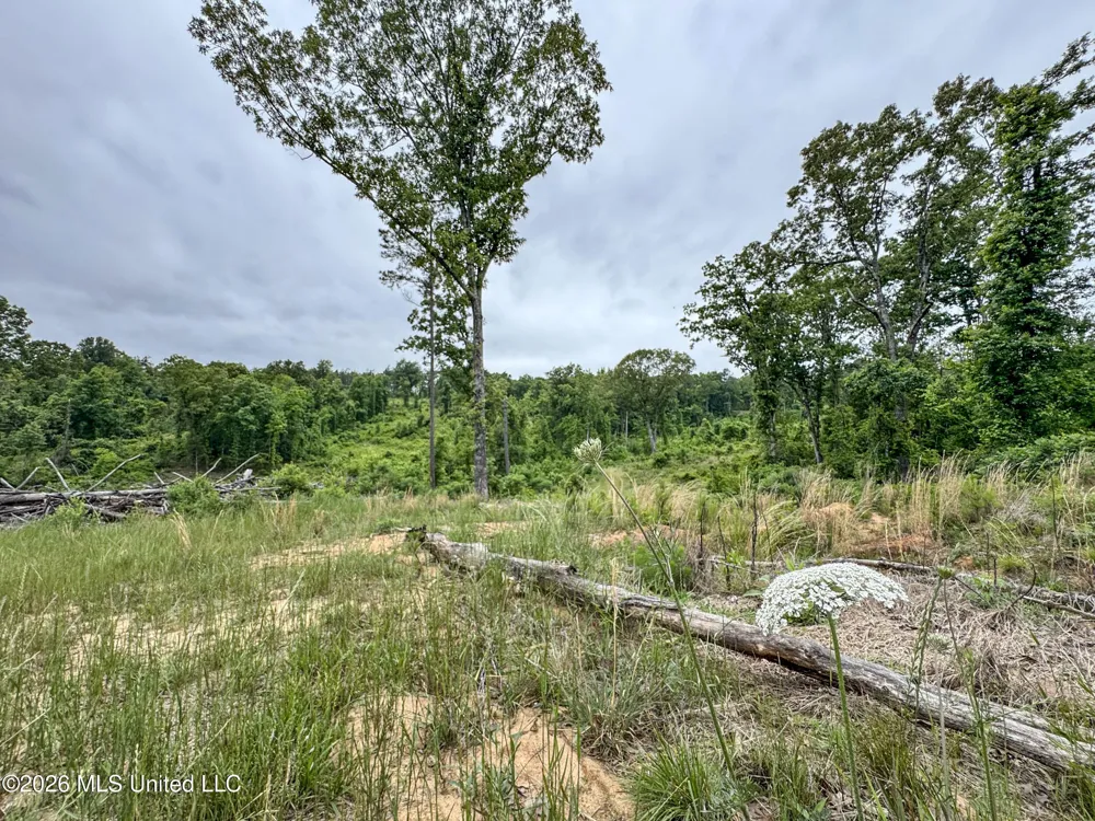 Wayne Massie Road Como, MS 38619