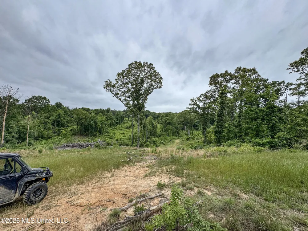 Wayne Massie Road Como, MS 38619