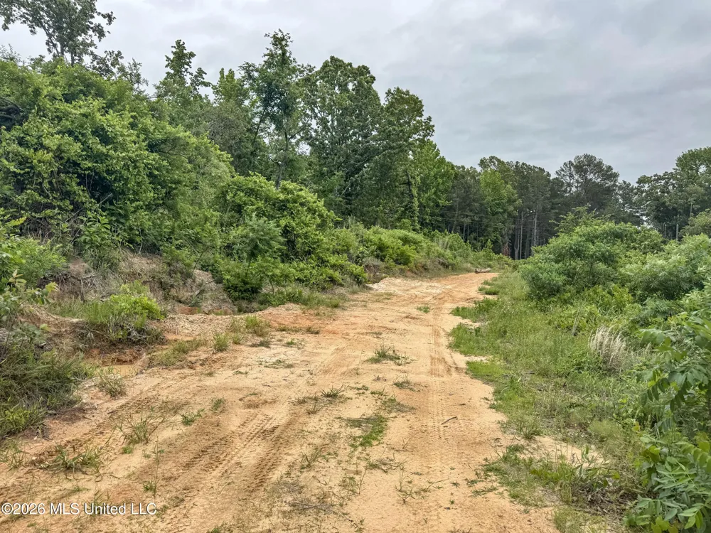 Wayne Massie Road Como, MS 38619