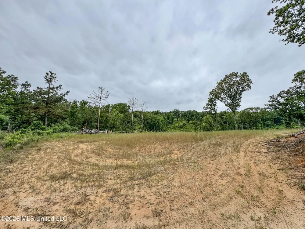 Wayne Massie Road Como, MS 38619