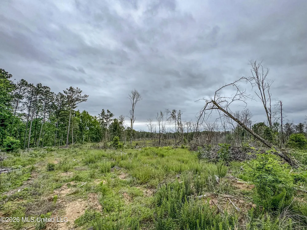 Wayne Massie Road Como, MS 38619