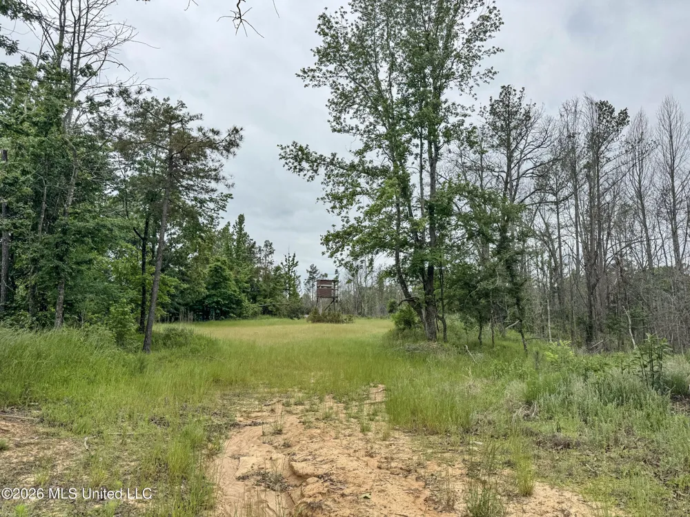 Wayne Massie Road Como, MS 38619