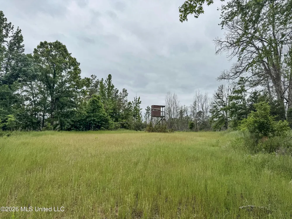 Wayne Massie Road Como, MS 38619