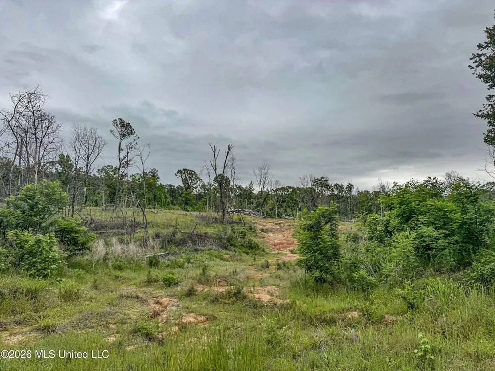 Wayne Massie Road Como, MS 38619