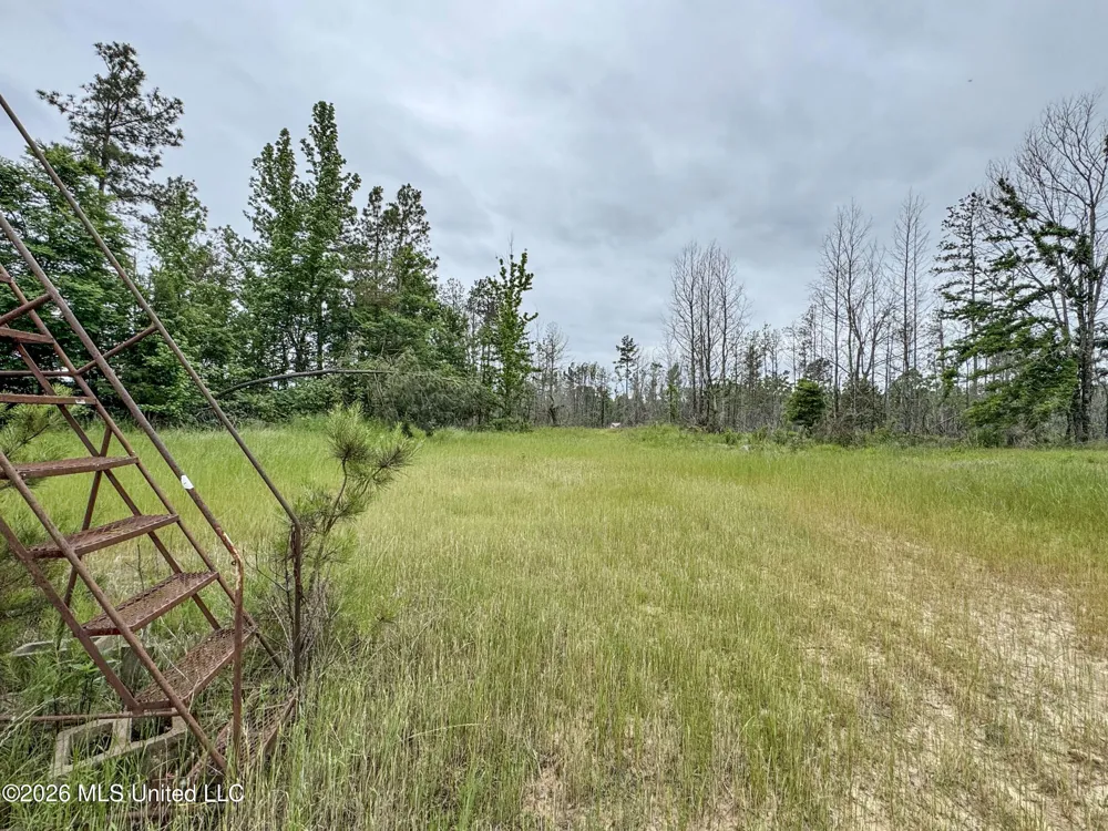 Wayne Massie Road Como, MS 38619