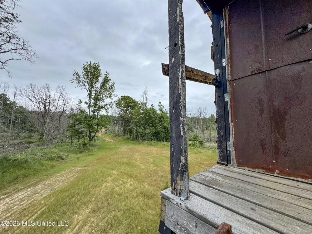 Wayne Massie Road Como, MS 38619
