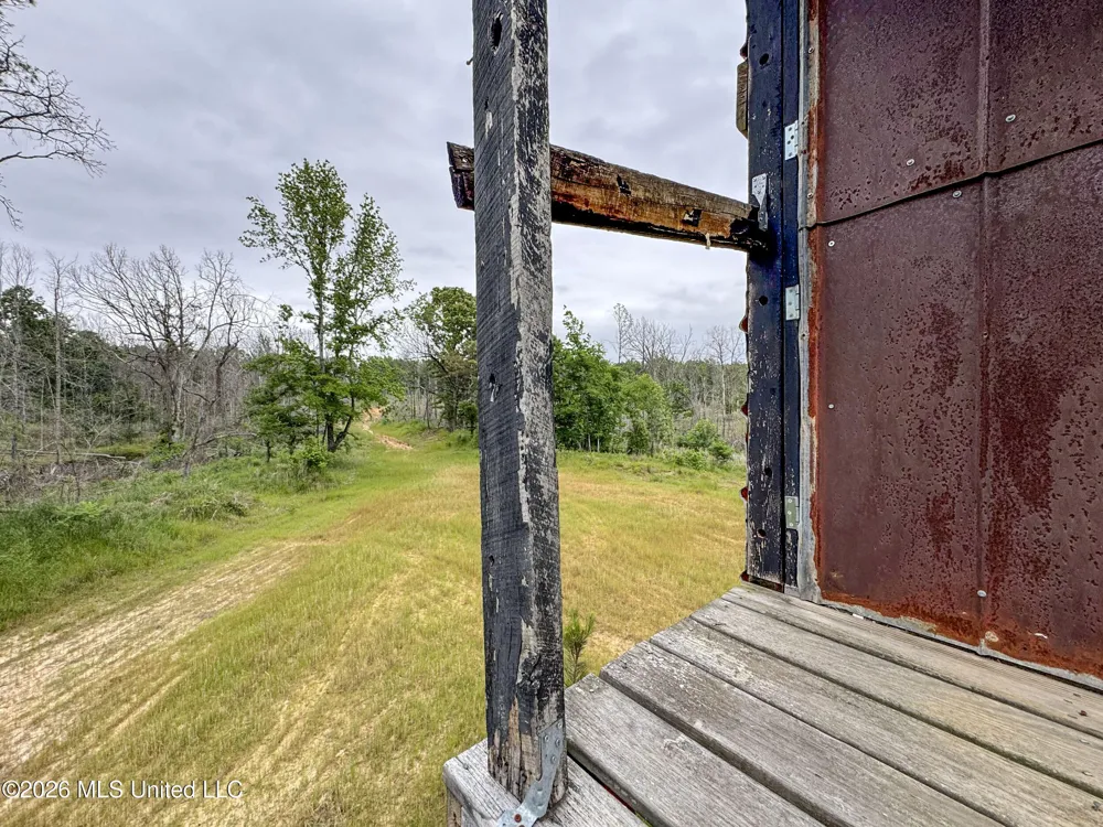 Wayne Massie Road Como, MS 38619