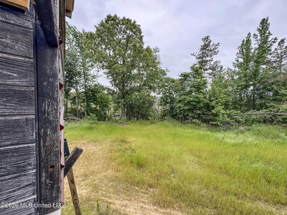 Wayne Massie Road Como, MS 38619