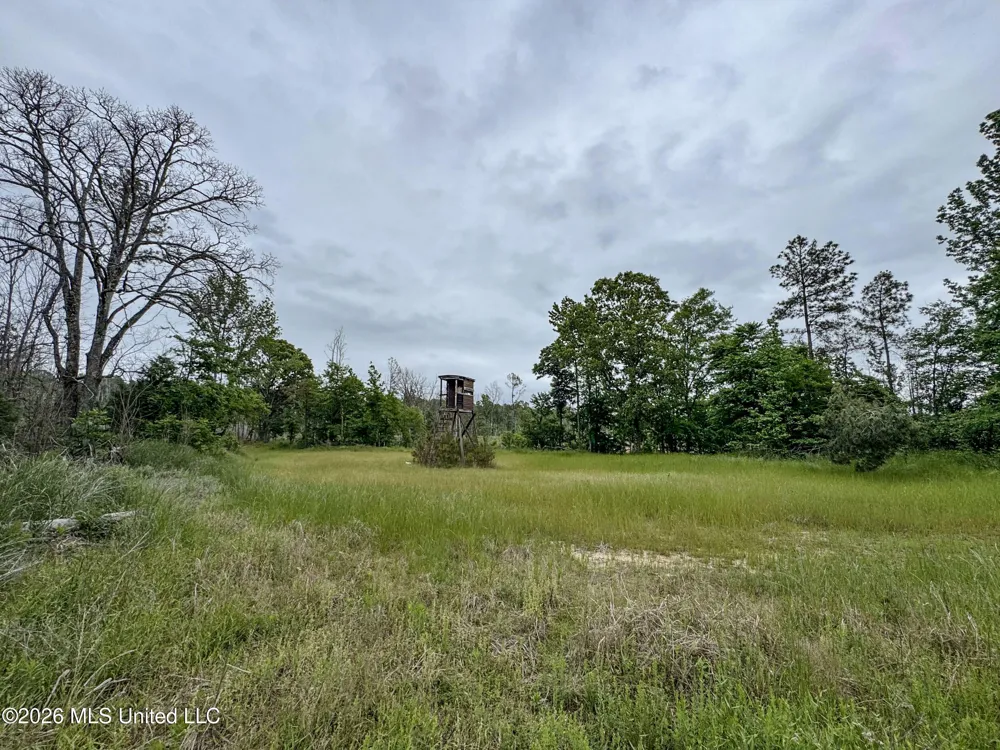 Wayne Massie Road Como, MS 38619