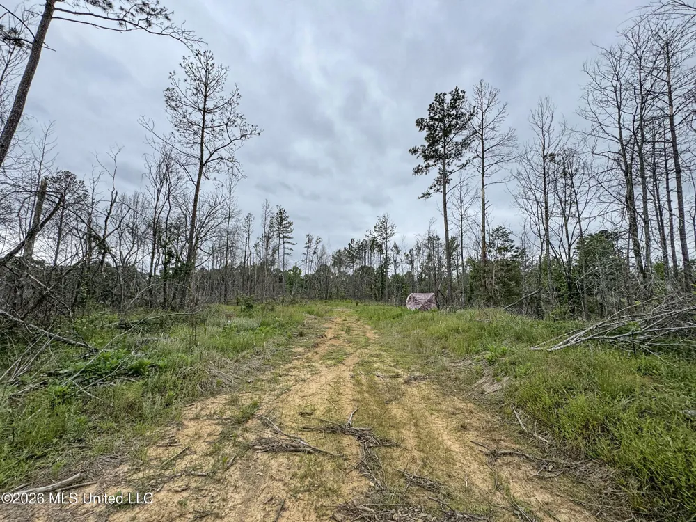 Wayne Massie Road Como, MS 38619