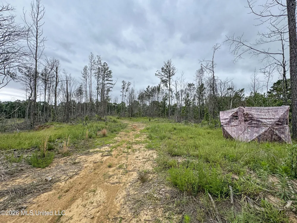 Wayne Massie Road Como, MS 38619