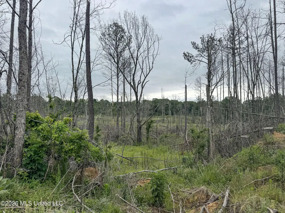 Wayne Massie Road Como, MS 38619