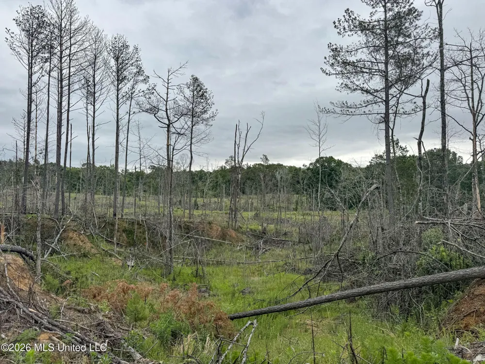 Wayne Massie Road Como, MS 38619