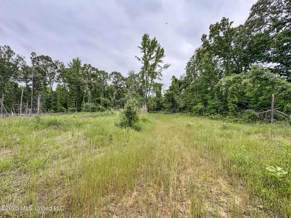 Wayne Massie Road Como, MS 38619