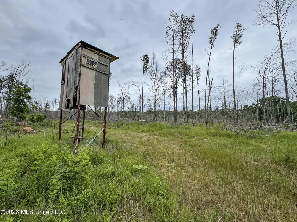 Wayne Massie Road Como, MS 38619