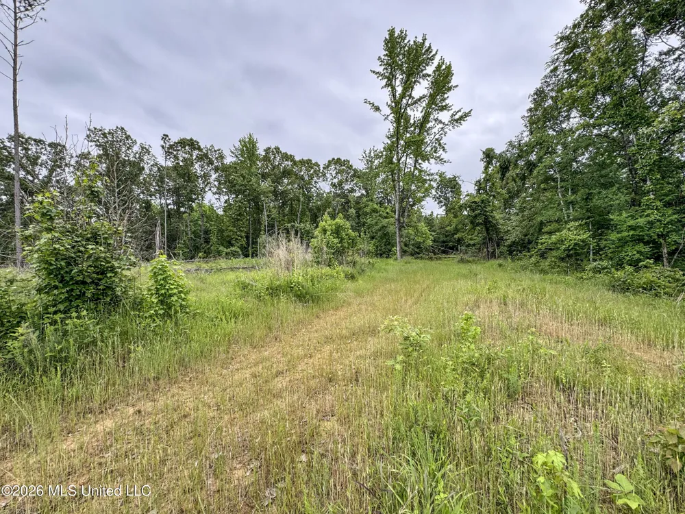 Wayne Massie Road Como, MS 38619