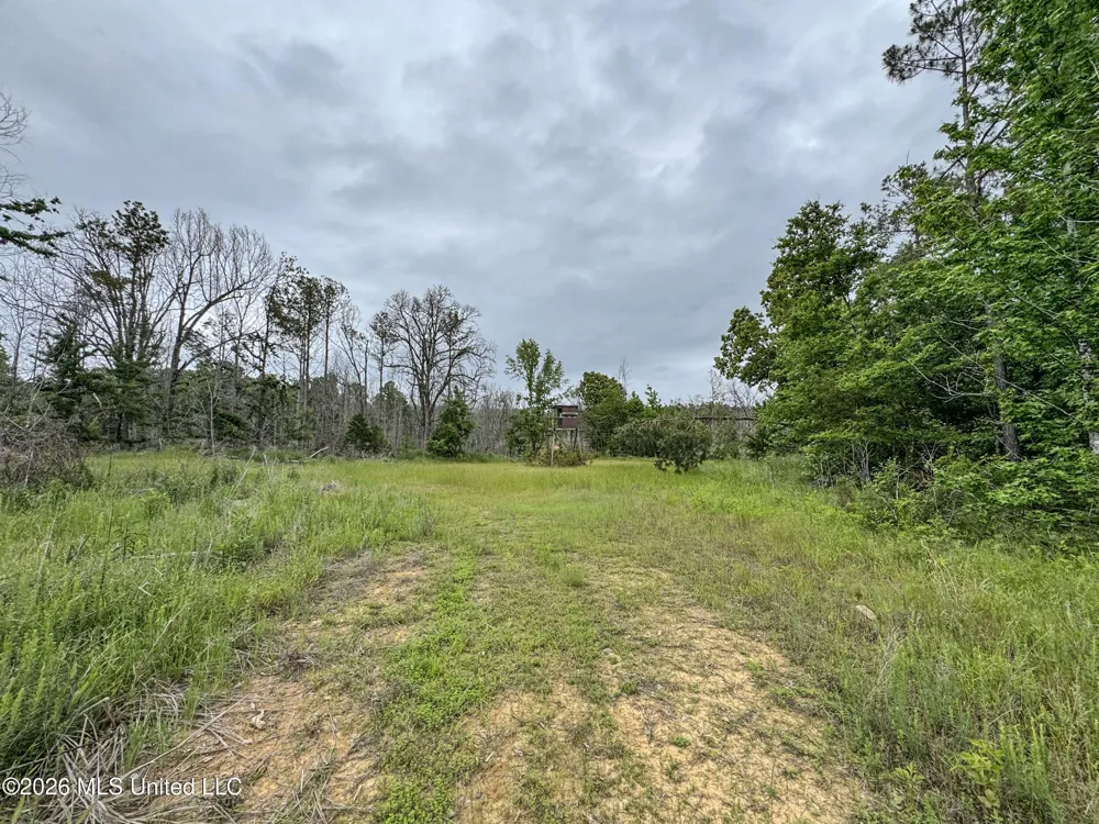 Wayne Massie Road Como, MS 38619