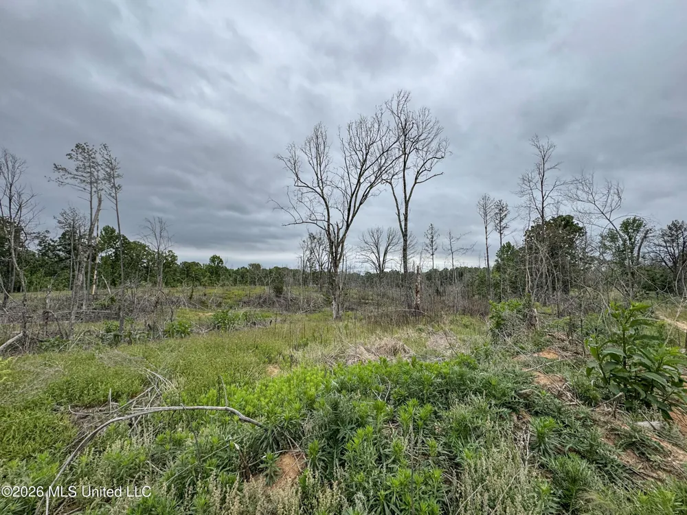Wayne Massie Road Como, MS 38619