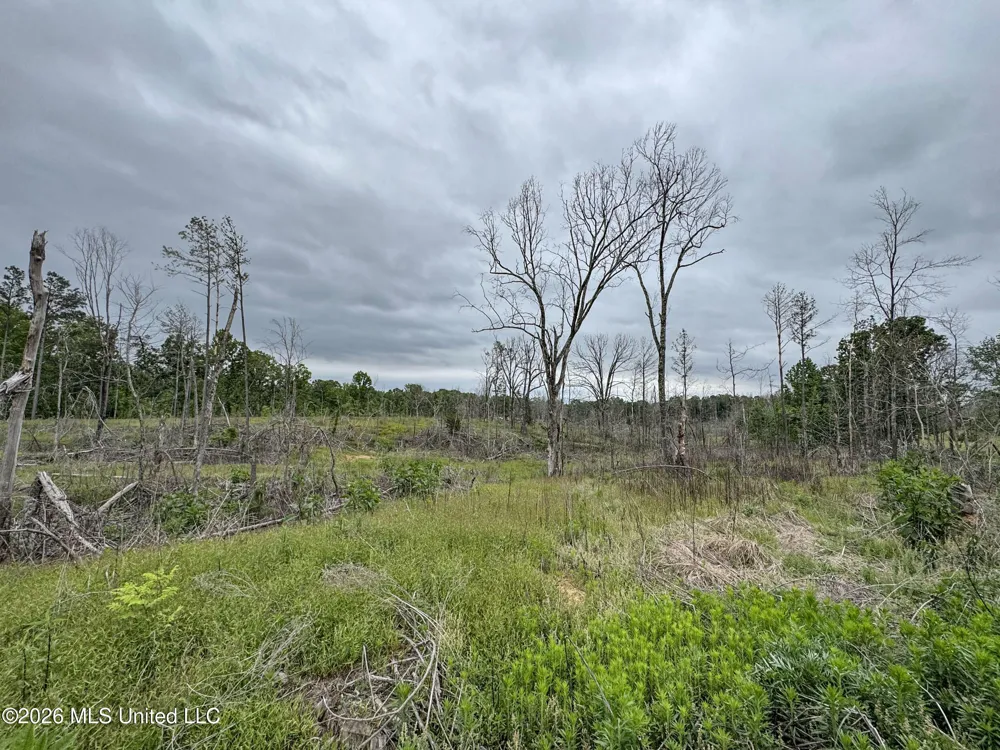 Wayne Massie Road Como, MS 38619