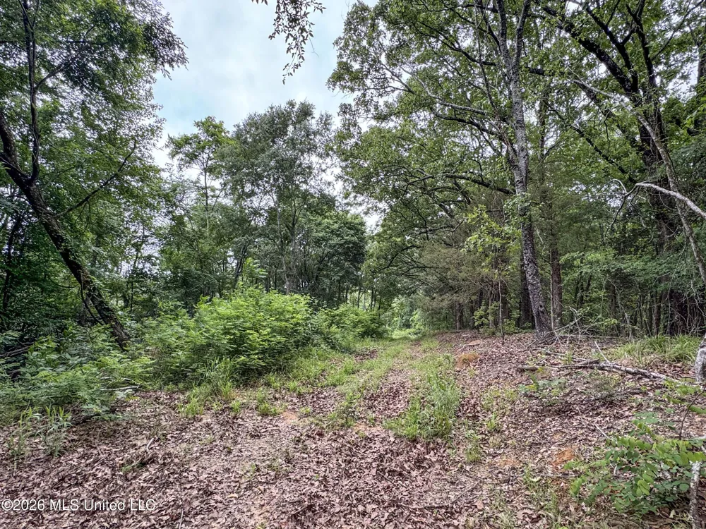 Wayne Massie Road Como, MS 38619