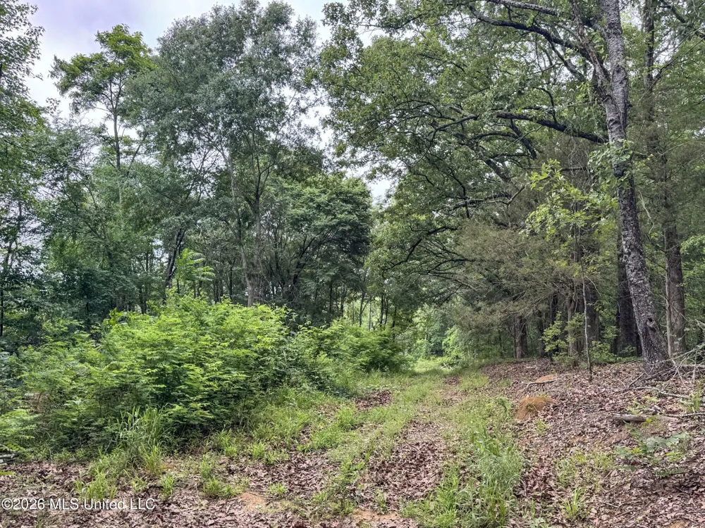 Wayne Massie Road Como, MS 38619