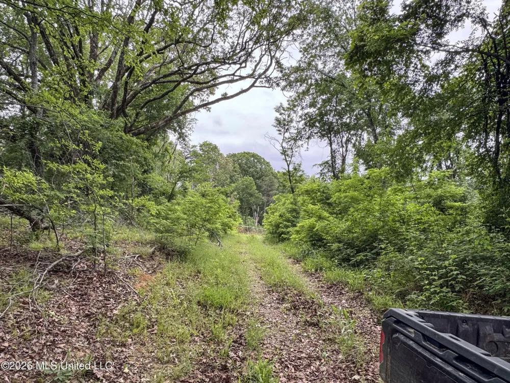 Wayne Massie Road Como, MS 38619