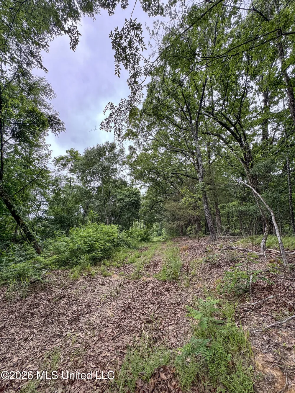 Wayne Massie Road Como, MS 38619