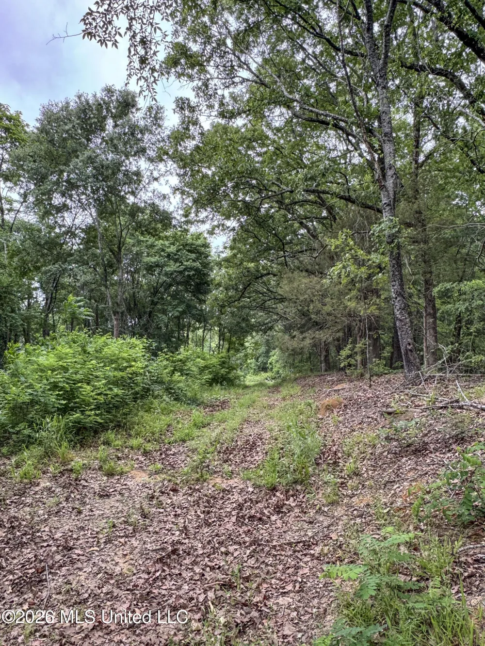 Wayne Massie Road Como, MS 38619