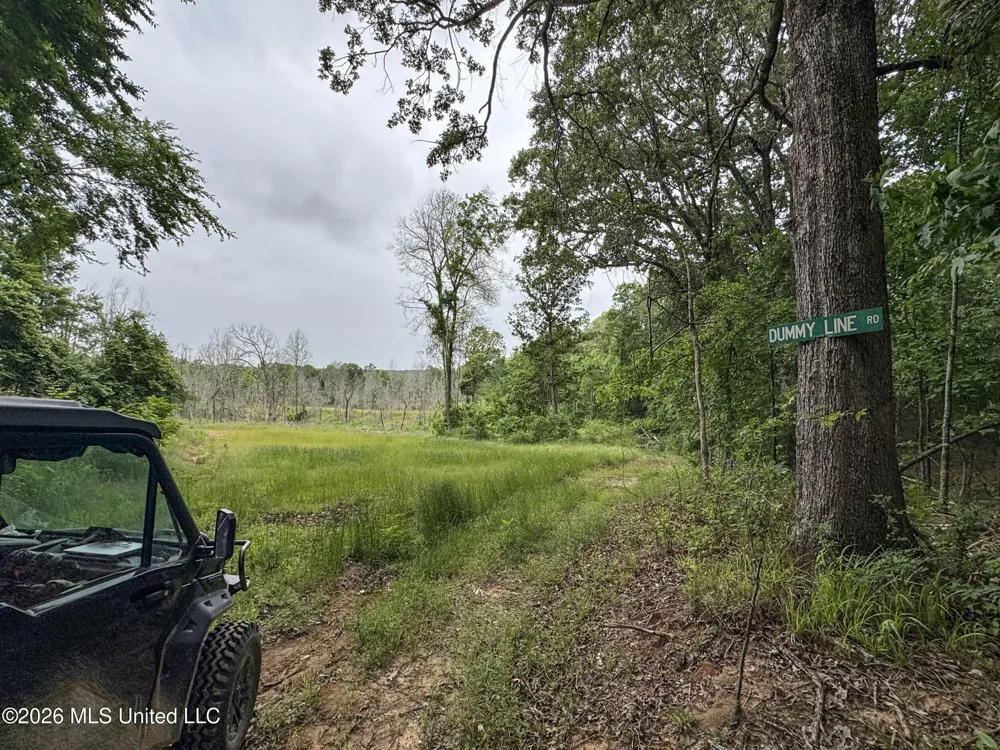 Wayne Massie Road Como, MS 38619
