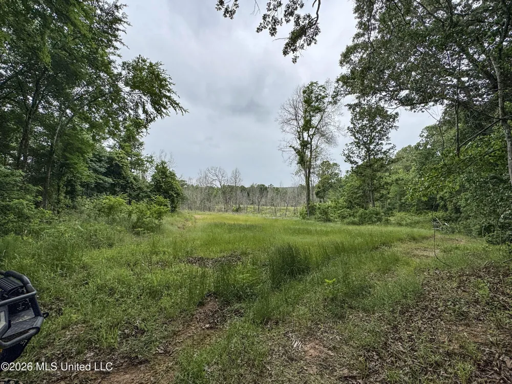 Wayne Massie Road Como, MS 38619
