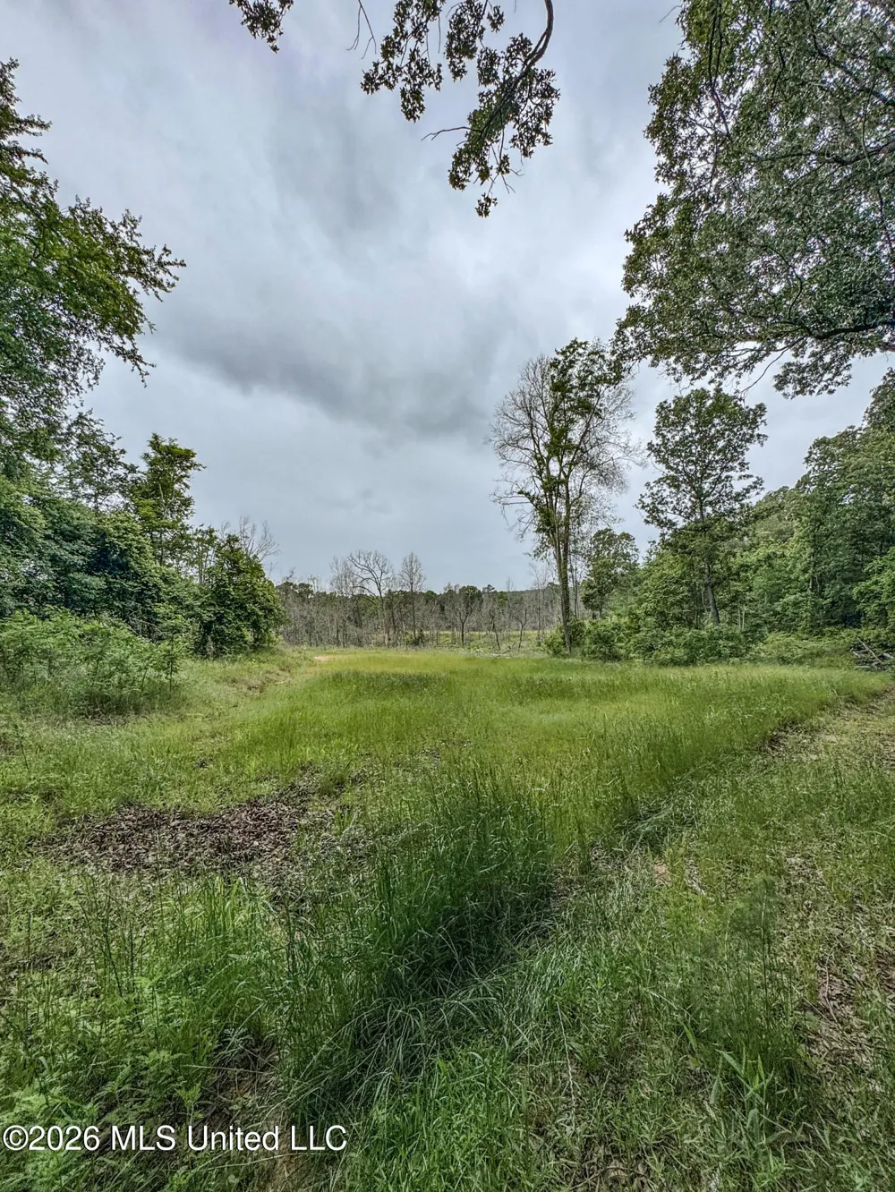 Wayne Massie Road Como, MS 38619