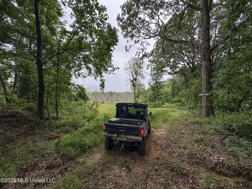 Wayne Massie Road Como, MS 38619