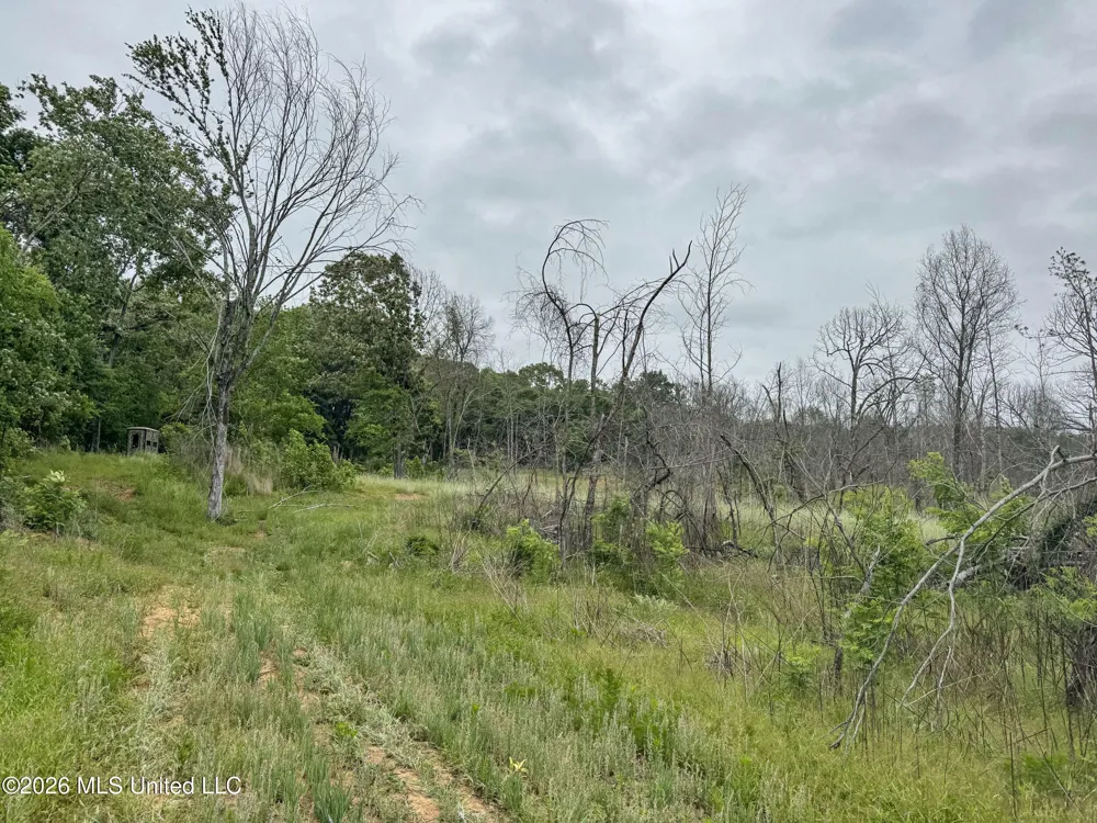 Wayne Massie Road Como, MS 38619