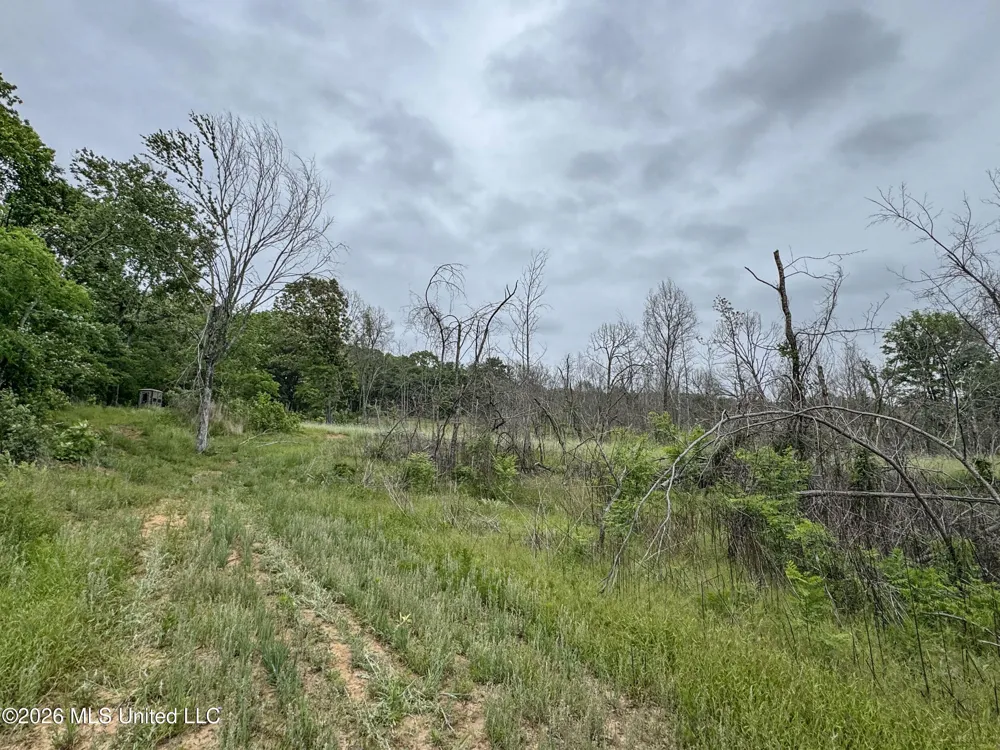 Wayne Massie Road Como, MS 38619
