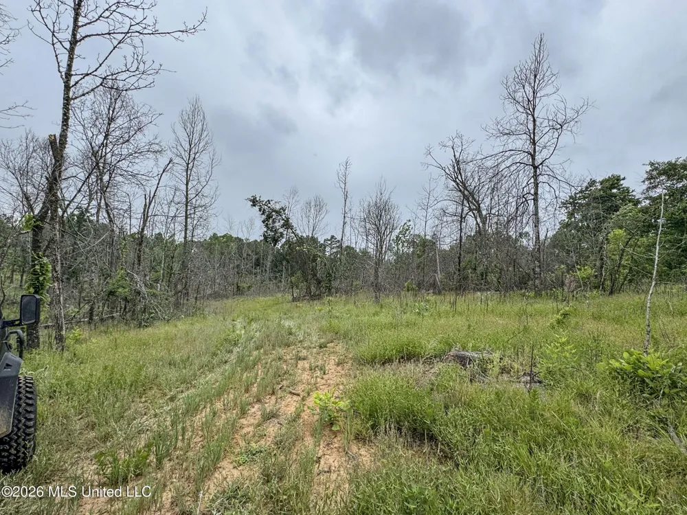 Wayne Massie Road Como, MS 38619