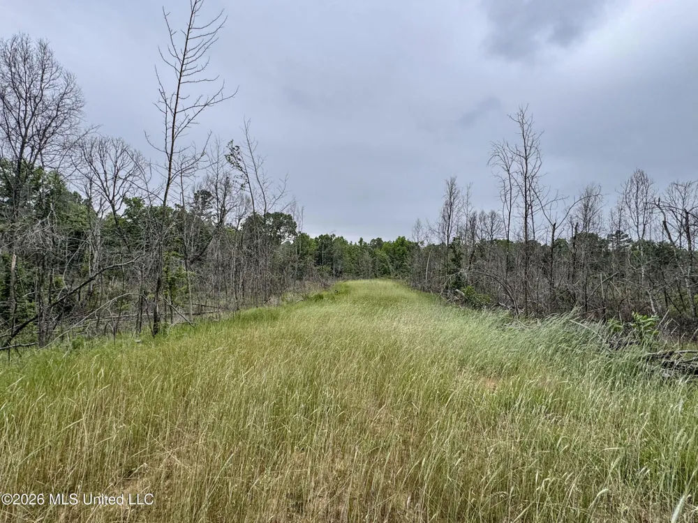 Wayne Massie Road Como, MS 38619