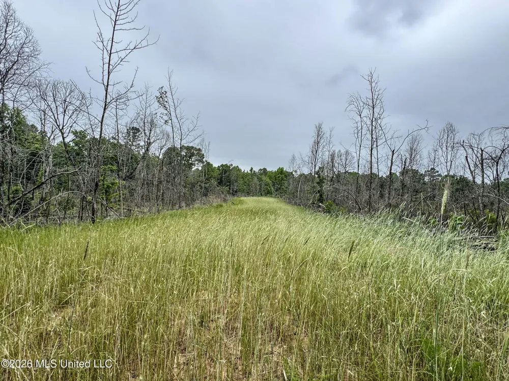 Wayne Massie Road Como, MS 38619
